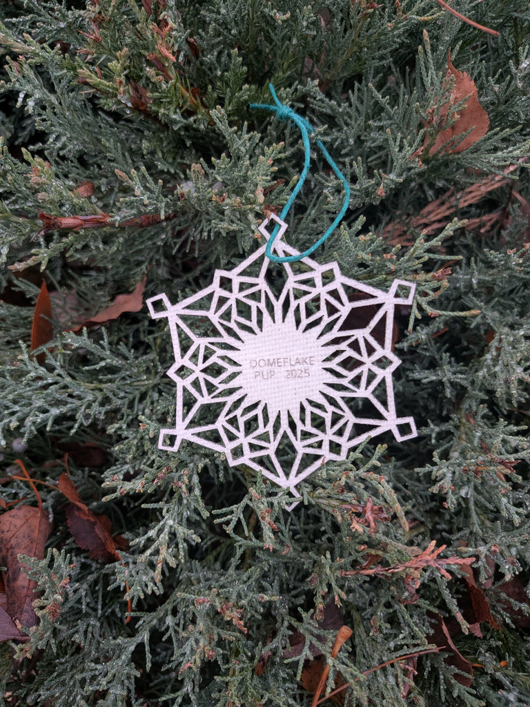 2025 DOMEFLAKE ORNAMENT