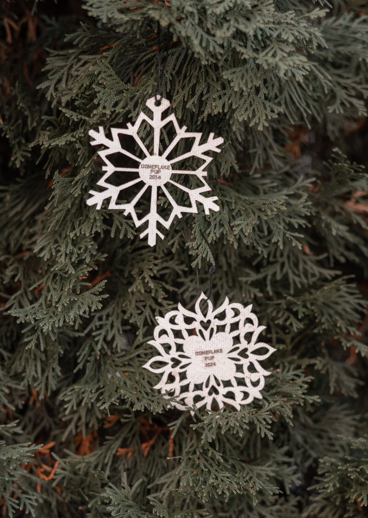 SPECIAL 2-PACK DOMEFLAKE ORNAMENT